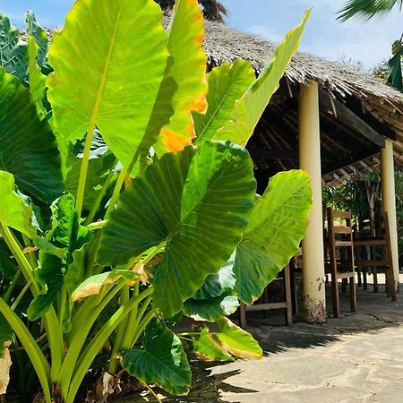 Ltorec Nyali Beach Kültér fotó